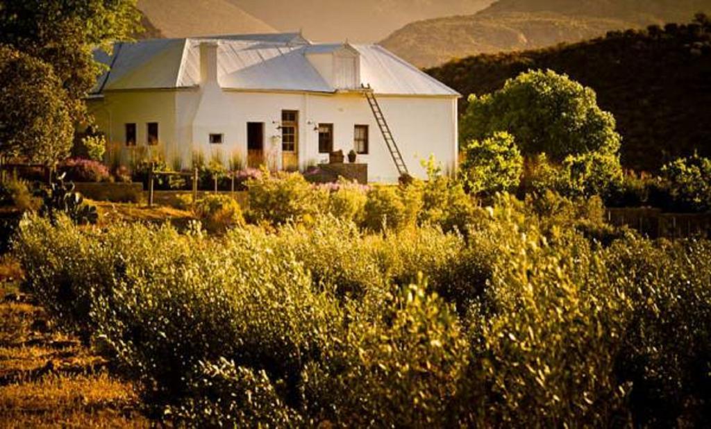 Vrisch Gewagt Boutique Self-Catering Olive Farm Prince Albert Exterior foto