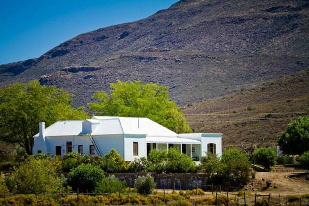 Vrisch Gewagt Boutique Self-Catering Olive Farm Prince Albert Exterior foto