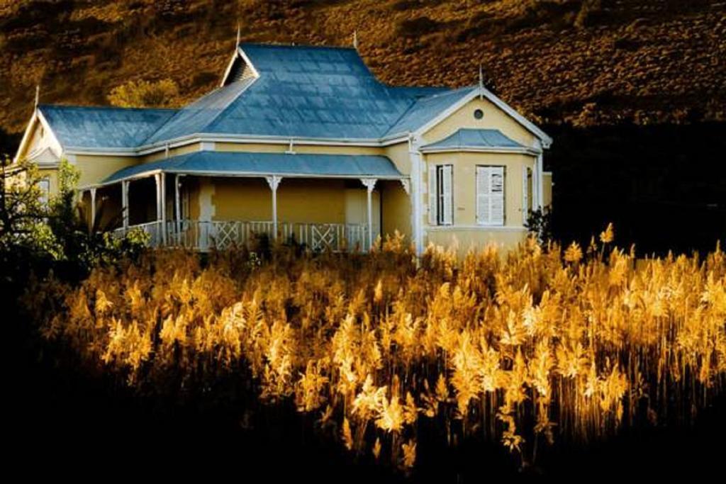 Vrisch Gewagt Boutique Self-Catering Olive Farm Prince Albert Exterior foto