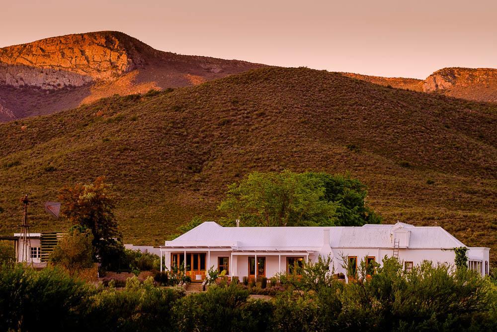 Vrisch Gewagt Boutique Self-Catering Olive Farm Prince Albert Exterior foto